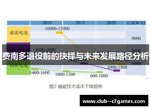 费南多退役前的抉择与未来发展路径分析