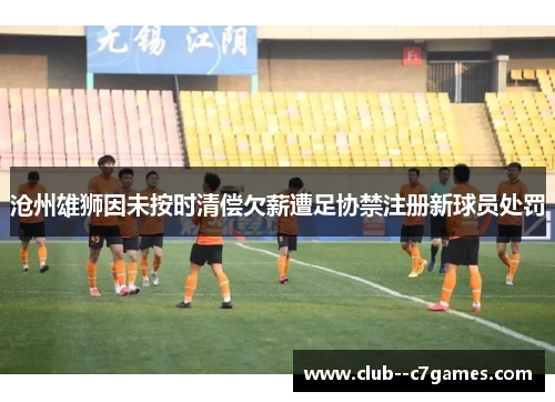 沧州雄狮因未按时清偿欠薪遭足协禁注册新球员处罚