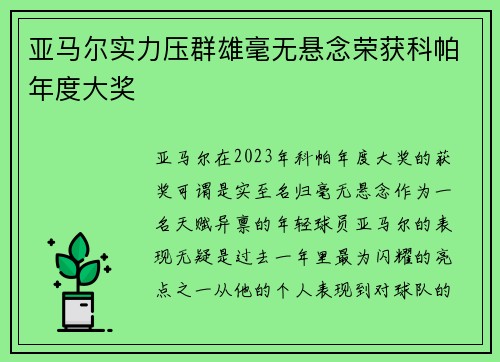 亚马尔实力压群雄毫无悬念荣获科帕年度大奖